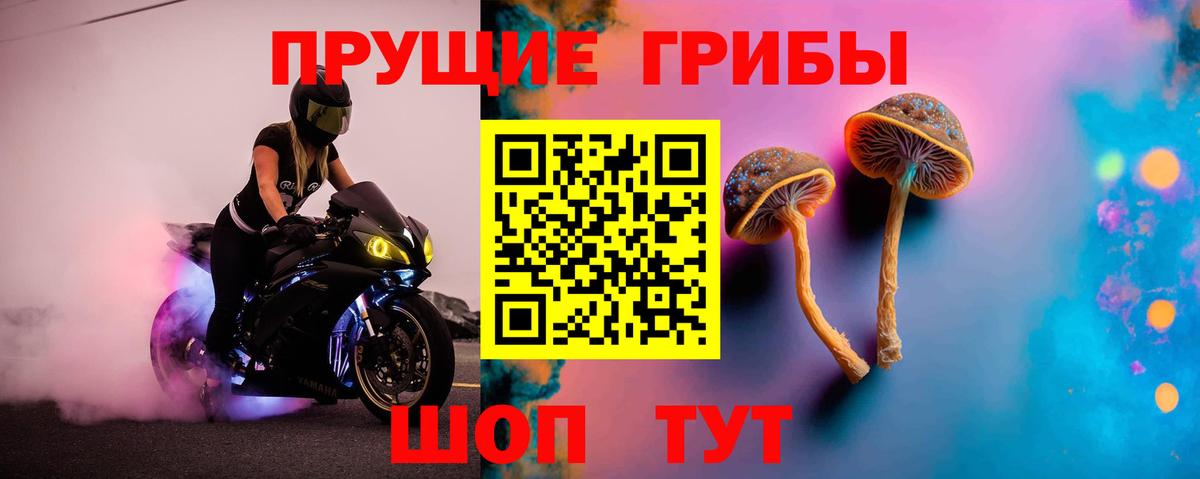 Псилоцибиновые грибы мицелий  Вход с VPN  Анапа 