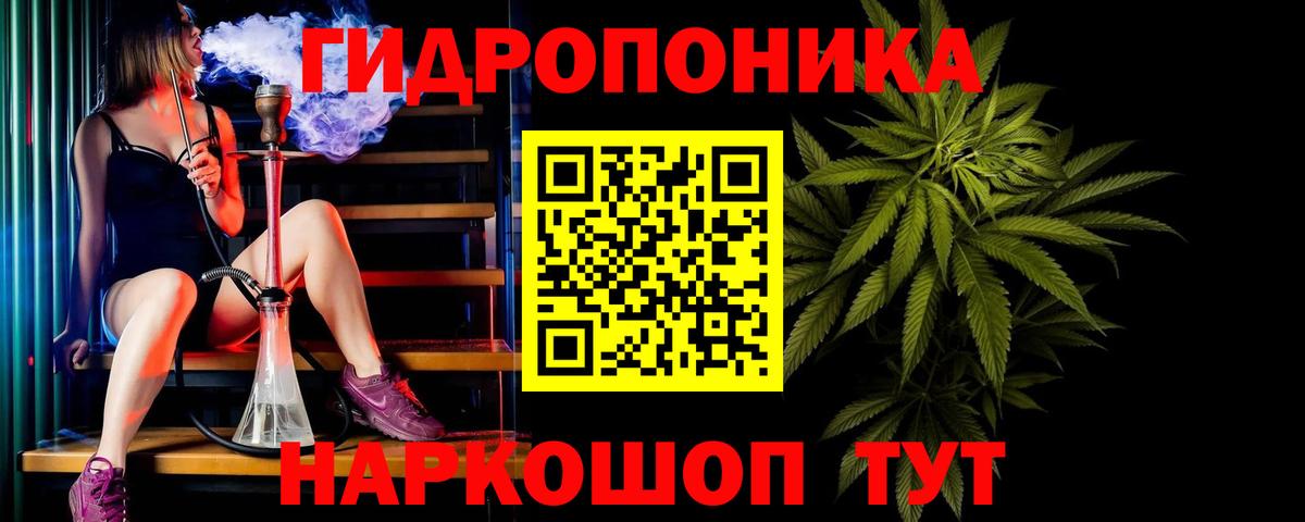 Бошки Шишки планчик Анапа